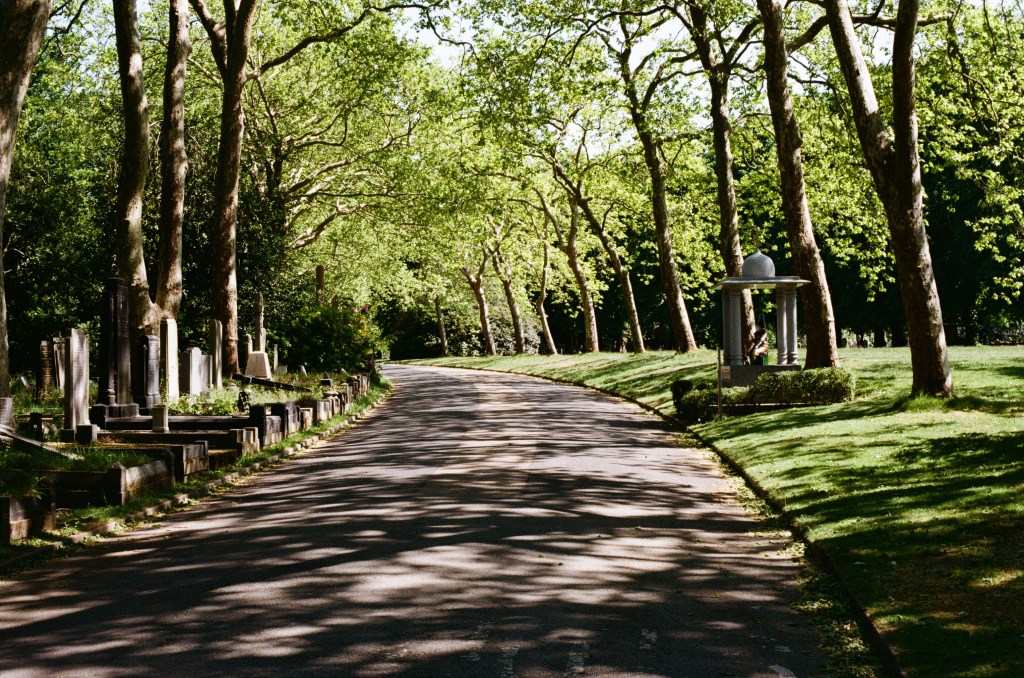 A peaceful graveyard scene, symbolic of family history and genealogy research.
